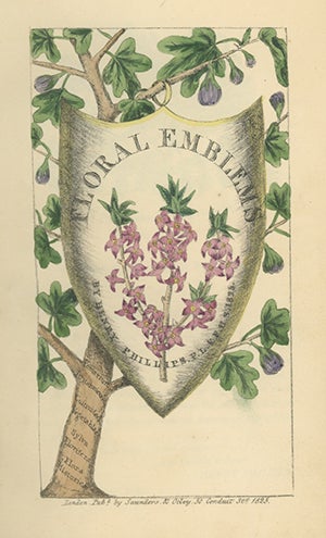 THE LANGUAGE OF FLOWERS