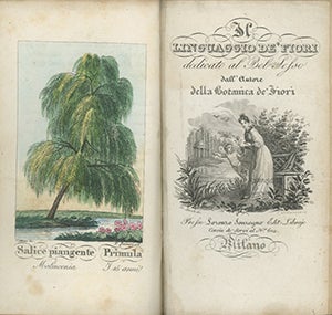 A Collection of more than 100 Language of Flowers titles published between 1655 and 1897, with one manuscript and one ephemeral item.